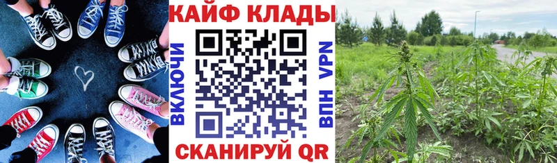 Где купить наркоту Лесозаводск ГАШ  Cocaine  ЭКСТАЗИ  Каннабис  Меф  СК 
