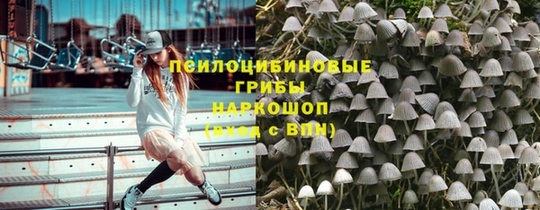 метадон Алексин